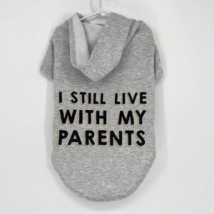 Stylish Gray Dog Hoodie with Fun Print